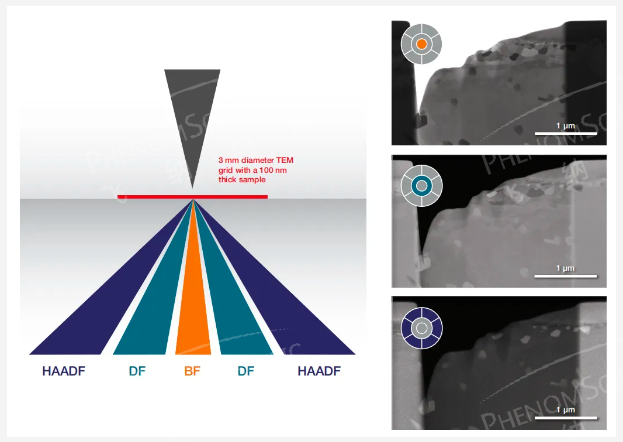 明場（BF）、暗場（DF）和高角度環(huán)形暗場（HAADF）成像示意圖和成像對比圖
